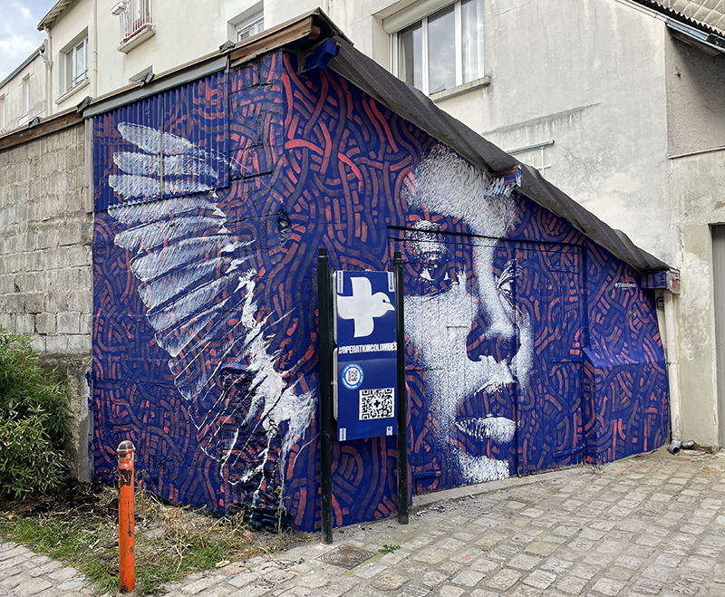Street Art : Opération Colombes, Street-art rue des olivettes, Nantes 2021