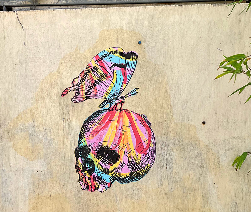 Crâne au papillon et fond coloré / Vannes, France