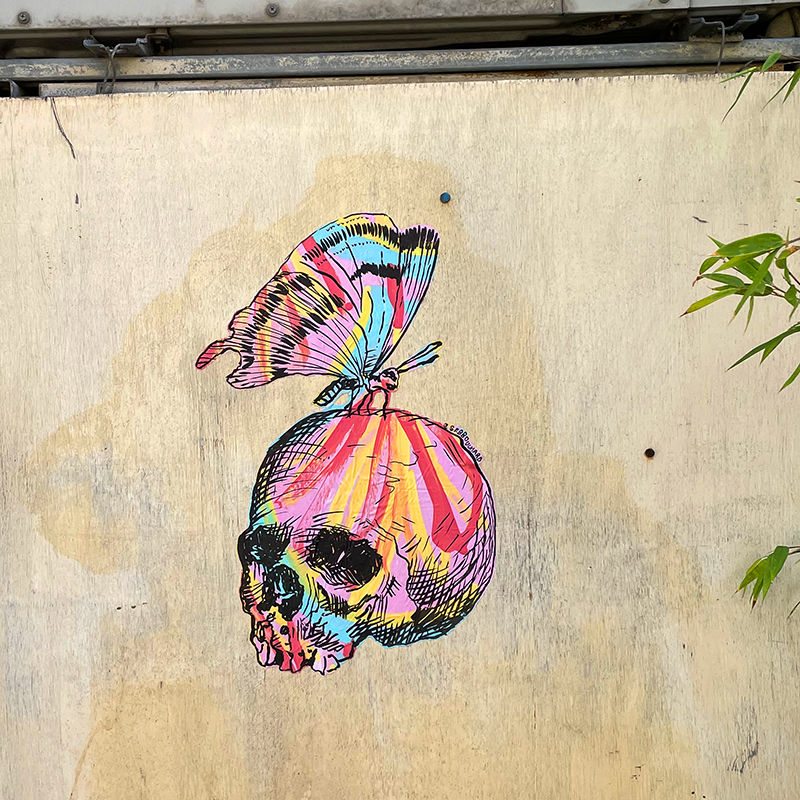 Crâne au papillon et fond coloré / Vannes, France