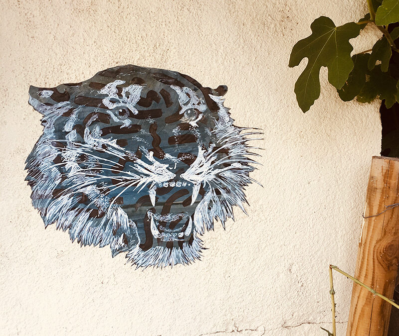 Le Tigre qui rugit au fond gris / Nantes France