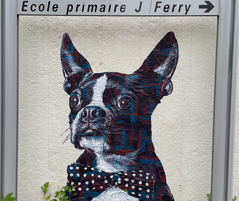 Le Chien au noeud papillon / La Montagne, France