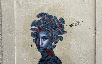 Femme à la chevelure Umbilicus rupestris / Lisbonne, Portugal