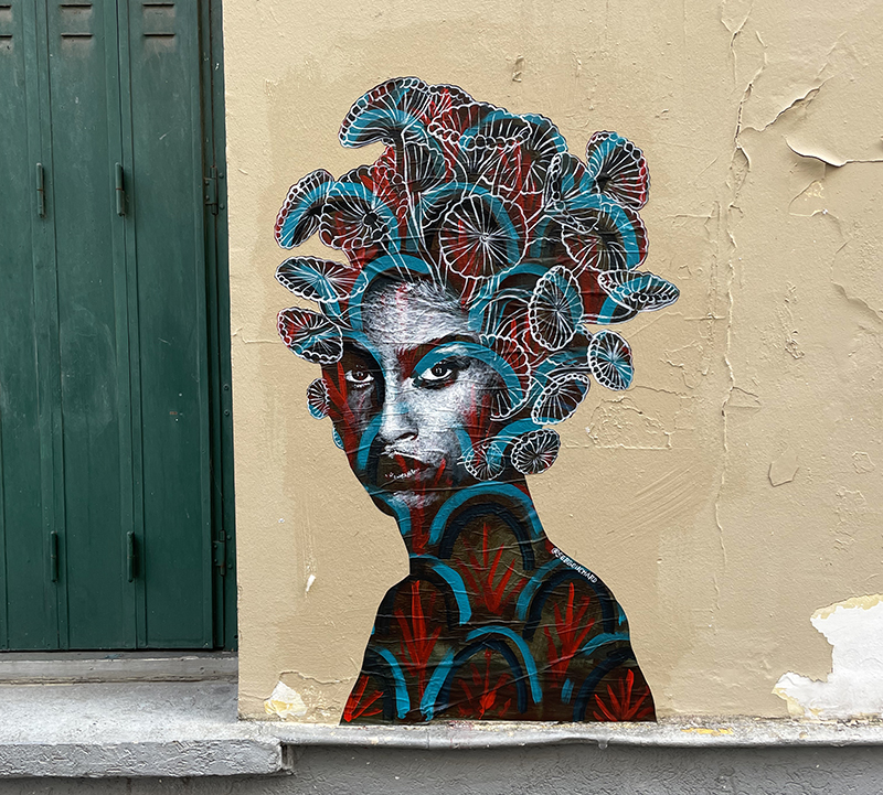 Femme à la chevelure Umbilicus rupestris / Paris, France