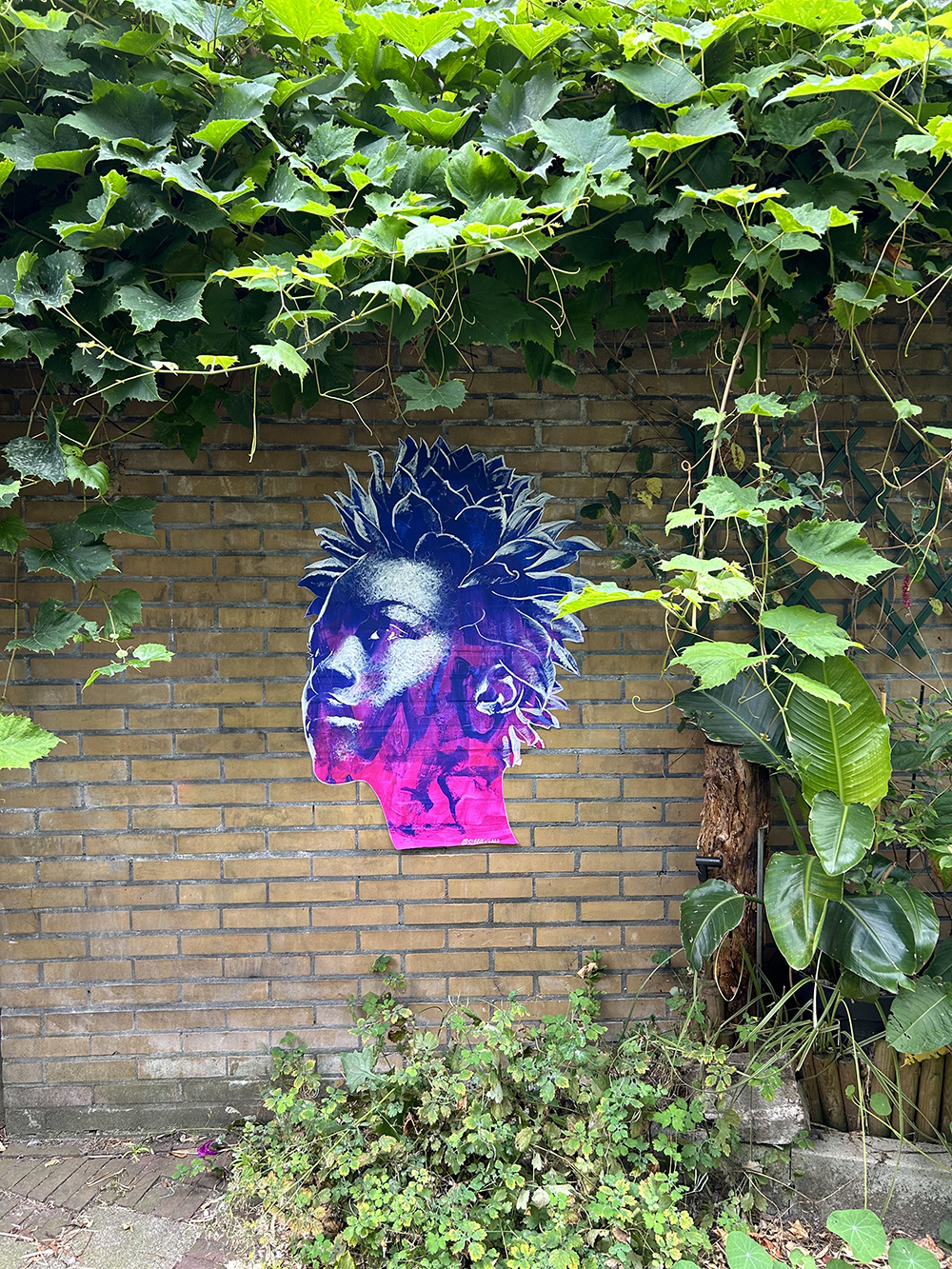 Powerflower / Amsterdam, Pays-Bas – 2024