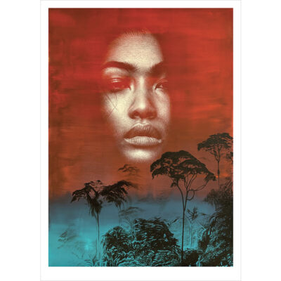 PRIMAIRE 50x65cm (Deluxe Edition)